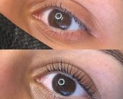 Lash Lift Course